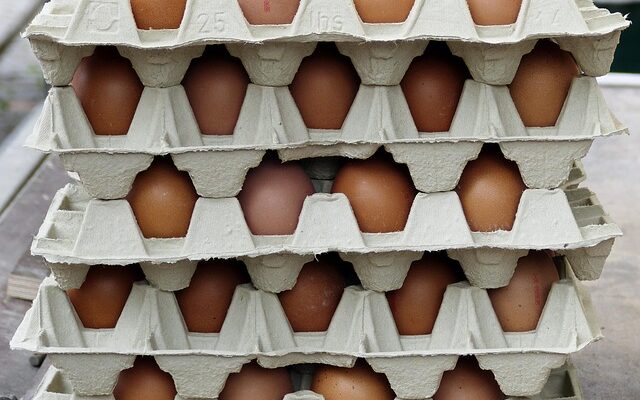 Bæredygtighed på hylden: Farm-shops som fremtidens fødevaremarked